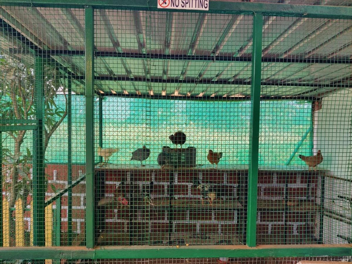 Rose Villa ロナバラ エクステリア 写真